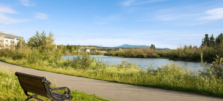 怀特霍斯戴斯酒店(Quality Inn & Suites)图片