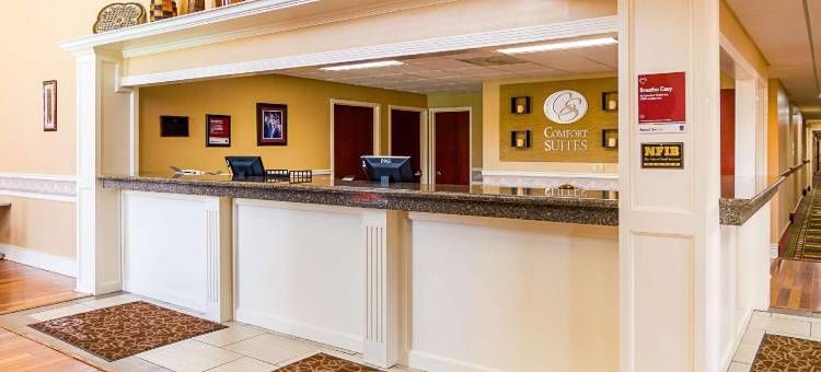 凯艺套房酒店(Quality Suites)图片