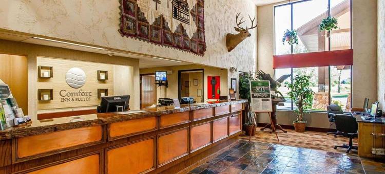 布兰森梅多斯舒适套房酒店(Comfort Inn & Suites Branson Meadows)图片