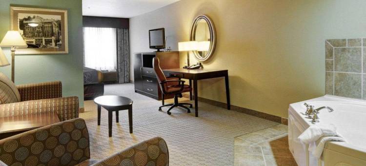 温泉城舒适套房酒店(Comfort Suites Near Hot Springs Park)图片