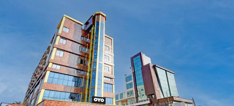 Super Collection O Flavour图片