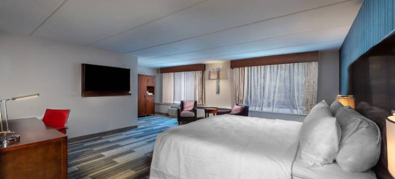 亚特兰大机场西福朋喜来登酒店(Four Points by Sheraton Atlanta Airport West)图片