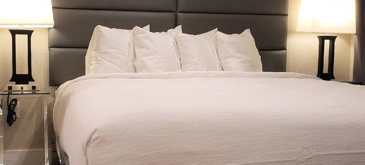 赤脚海滩俱乐部酒店(Barefoot Beach Club)图片