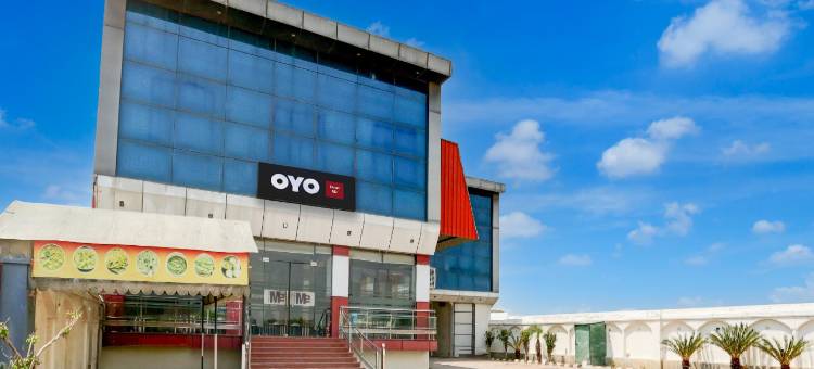 Collection O M图片