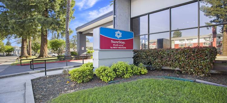 SureStay Plus Hotel by Best Western Sacramento North图片
