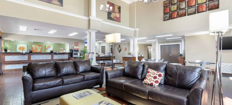 纽布朗费尔斯贝斯特韦斯特套房酒店(Best Western Inn  Suites)图片