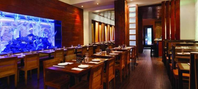 加里凡时代广场酒店(The Gallivant Times Square)图片