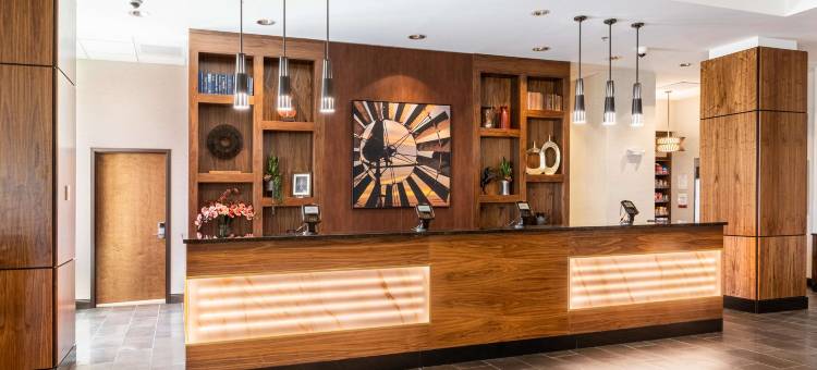 德鲁里广场酒店达拉斯阿林顿(Drury Plaza Hotel Dallas Arlington)图片