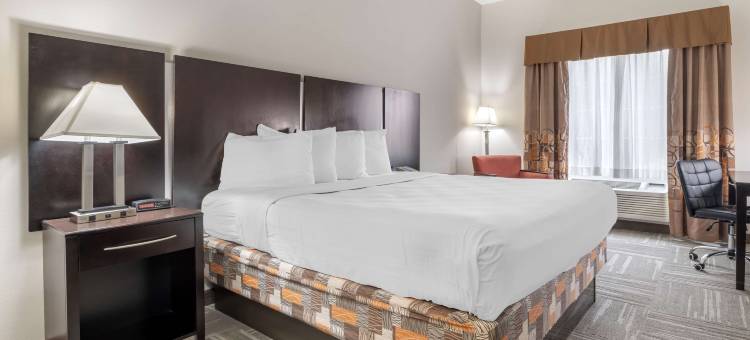 梅森贝斯特韦斯特酒店(Best Western Mason Inn)图片