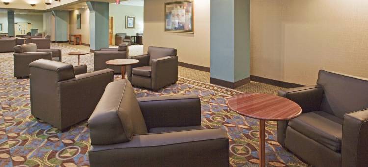宾汉顿市区霍利街假日酒店(Holiday Inn BINGHAMTON DOWNTOWN by IHG)图片