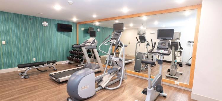 智选假日套房酒店铁山(Holiday Inn Express & Suites Iron Mountain)图片