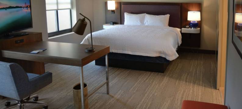 费城米迪尔希尔顿欢朋套房酒店(Hampton Inn & Suites Philadelphia/Media)图片