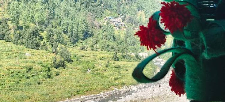 Barot Waterfall Camps and Dorms图片