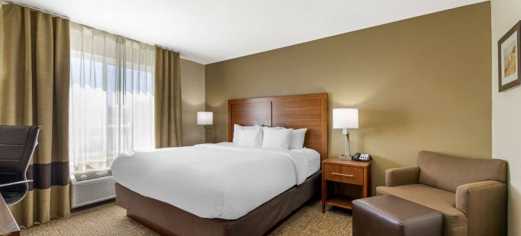 波特舒适套房酒店 - 近印第安纳沙丘(Comfort Inn & Suites Porter Near Indiana Dunes)图片