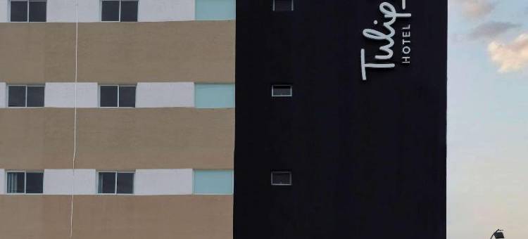 索罗卡巴郁金香酒店(ESuites Sorocaba)图片