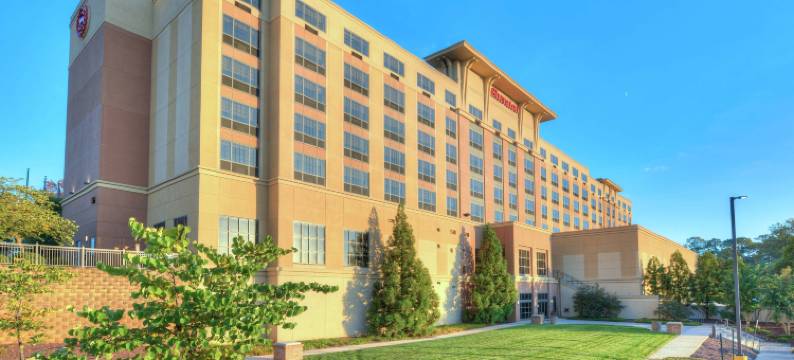 巴尔的摩华盛顿机场喜来登酒店-I(Sheraton Baltimore Washington Airport Hotel - BWI)图片