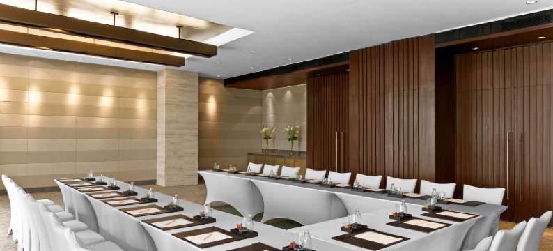 新德里古尔冈威斯汀酒店(The Westin Gurgaon, New Delhi)图片
