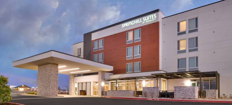 科罗拉多斯普林北／空军学院 SpringHill Suites 酒店(SpringHill Suites Colorado Springs North/Air Force Academy)图片