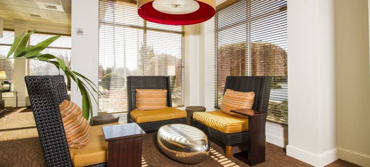 安德森希尔顿花园酒店(Hilton Garden Inn Anderson)图片