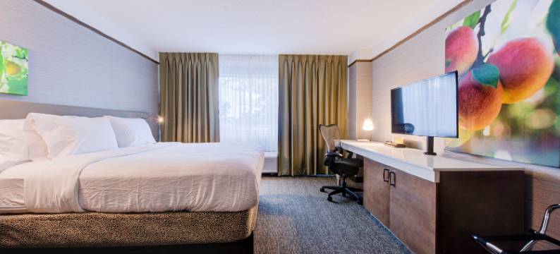 底特律南园市希尔顿花园酒店(Hilton Garden Inn Detroit-Southfield)图片