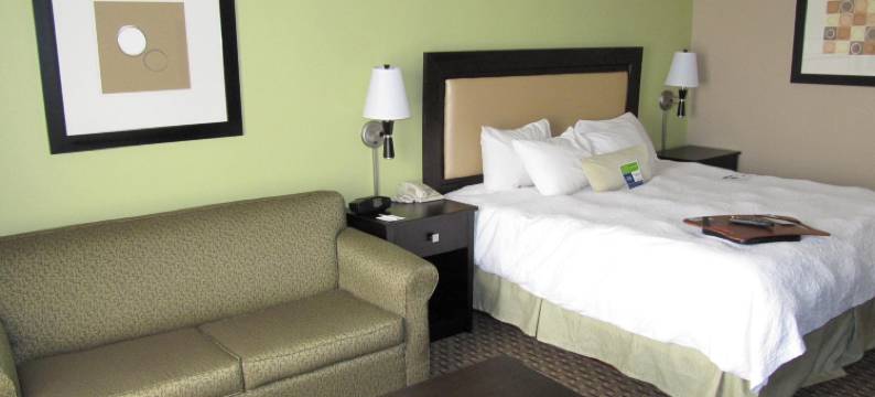 希尔顿欢朋酒店-泰勒林代尔(Hampton Inn Lindale/Tyler Area)图片