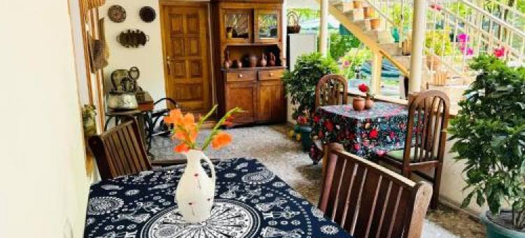 Mountain Home Inn-Guesthouse图片