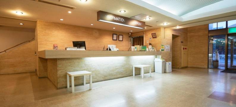 滨松站前Select Inn酒店(Hotel Select Inn Hamamatsu Ekimae)图片