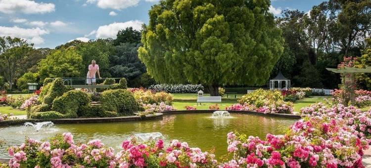 贝壳杉苑舒适酒店(Kauri Court Motel)图片