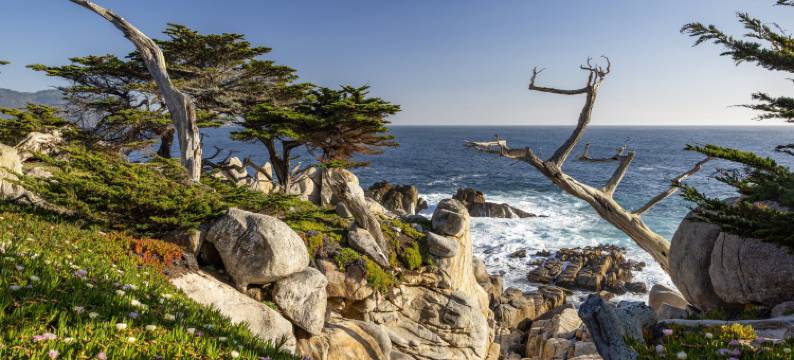 希尔顿Home2套房 - 位于蒙特雷湾的沙丘上(Home2 Suites by Hilton at the Dunes on Monterey Bay)图片