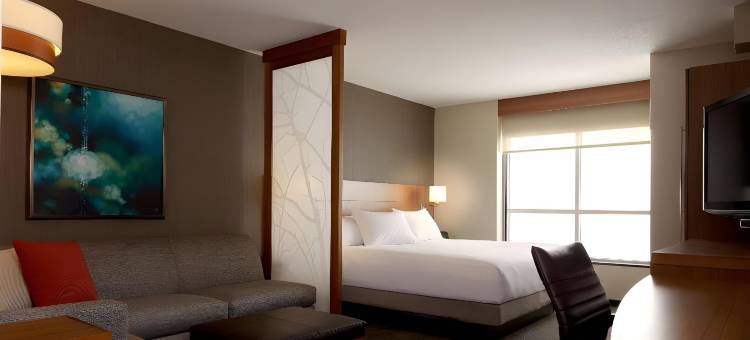 亚特兰大市区凯悦嘉轩酒店(Hyatt Place Atlanta Downtown)图片