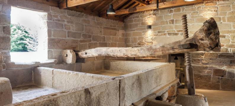 卡萨斯诺瓦斯乡村Spa及活动酒店(Casas Novas Countryside Hotel Spa & Events)图片