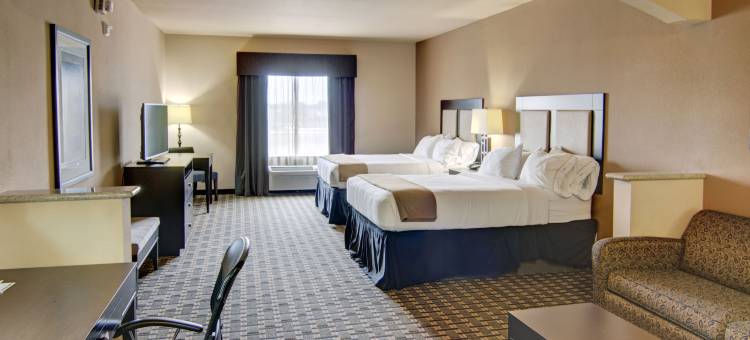 智选假日套房酒店帕里斯by IHG(Holiday Inn Express & Suites Paris)图片