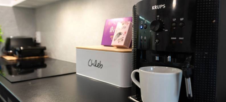 涅霍热的公寓靠近波罗的海海滩(Apartment near the beach, Niechorze)图片