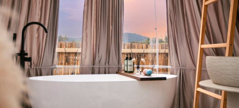 Stellar 金山金马伦(Stellar GoldenHill Cameron)图片