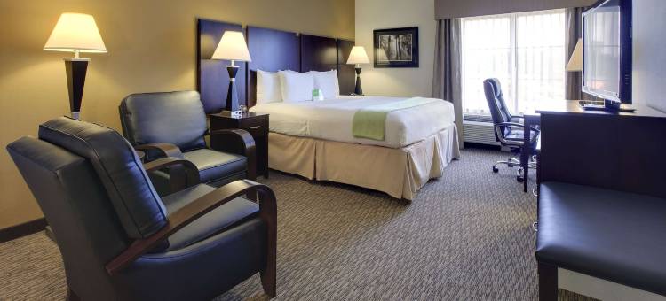 孟菲斯沃尔夫切斯拉昆塔温德姆套房酒店(La Quinta Inn & Suites by Wyndham Memphis Wolfchase)图片