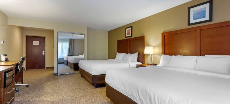 剑桥套房舒适酒店(Comfort Inn & Suites Cambridge)图片