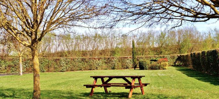 索米尔普瑞米尔经典酒店(Premiere Classe Saumur)图片