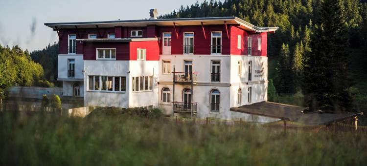 沃德安诺柴帕斯酒店(Das Waldhotel - Genuss & Wellness am Notschreipass)图片