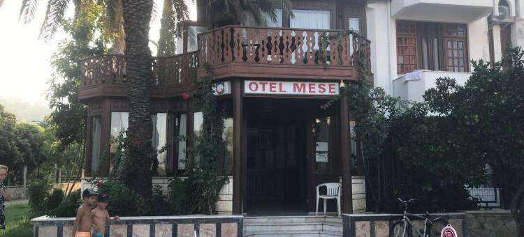 梅塞酒店(Meşe Hotel)图片