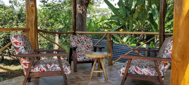 壁虎酒店(El Gecko Hotel & Tours)图片