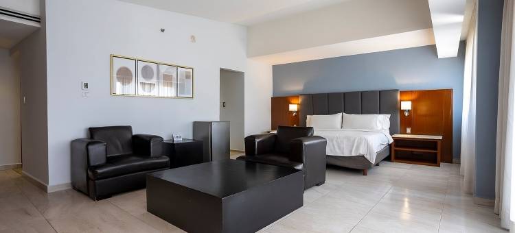 Holiday Inn 普埃布拉FINSA(Holiday Inn Puebla Finsa)图片