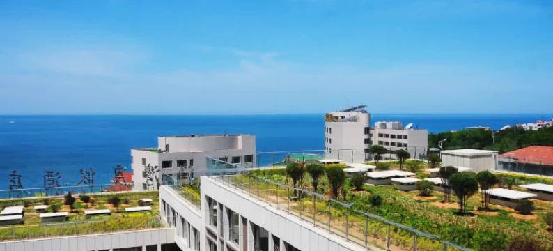 威海金海湾度假酒店(国际海水浴场火炬八街店)图片