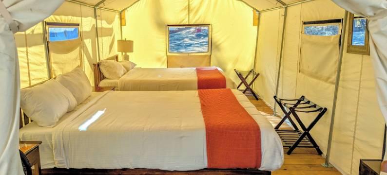 约塞米蒂野生天堂豪华露营(Wildhaven Yosemite Glamping)图片