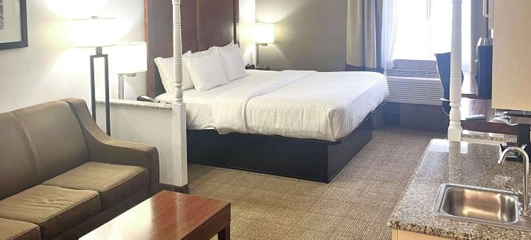 舒适套房酒店(Comfort Inn & Suites Jackson North)图片