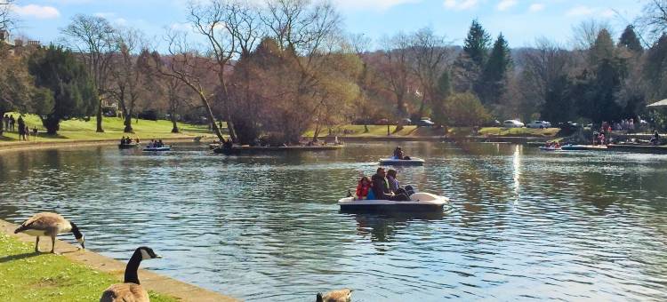 金斯克罗夫特酒店(Kingscroft)图片