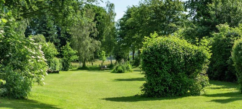 荷兰乡村宁静独立木屋(Detached Chalet in Tranquil Dutch Countryside)图片