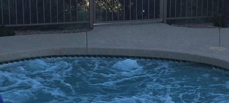 仙人掌 #202 喷泉山(Saguaro #202 Fountain Hills)图片