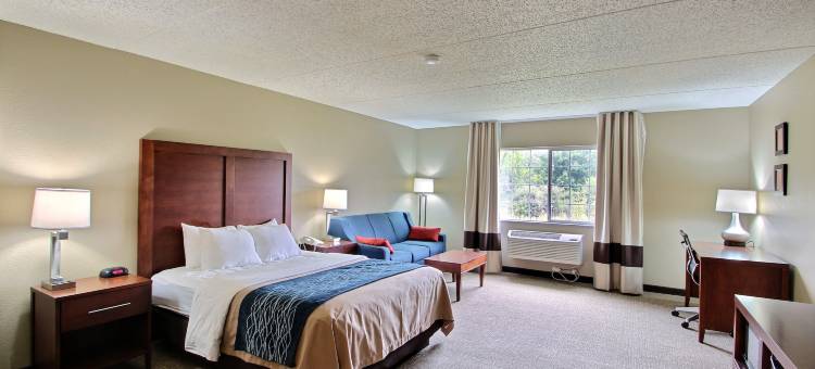 杰克逊舒适套房酒店 - 西区(Comfort Inn & Suites Jackson - West Bend)图片