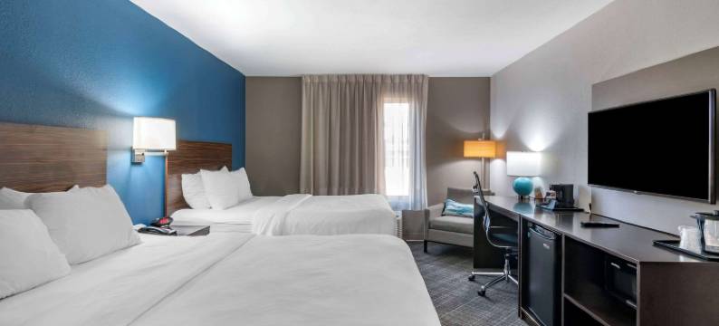圣路易斯 - 机场舒适酒店(Comfort Inn St Louis Airport)图片