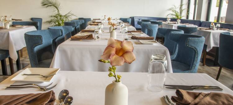 西谷棕榈酒店(Sago Palm Hotel)图片